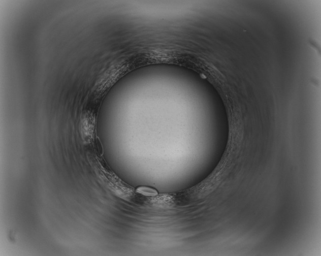 X0000100960576200806241530