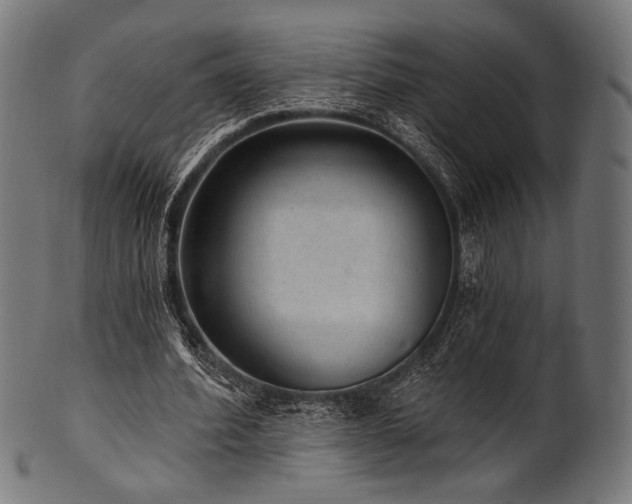 X0000100960580200806241529