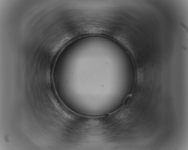 X0000100960581200806241529