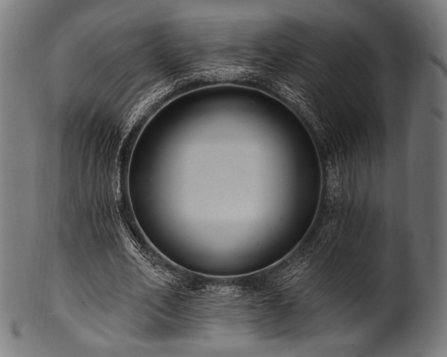 X0000100960582200806241529
