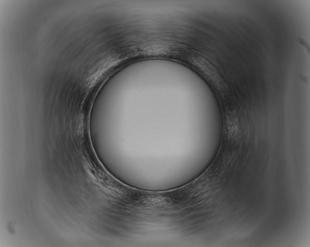 X0000100960583200806241529