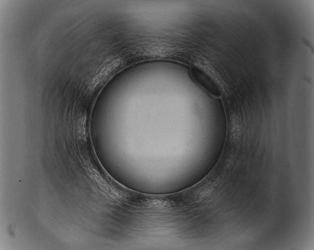 X0000100960585200806241529