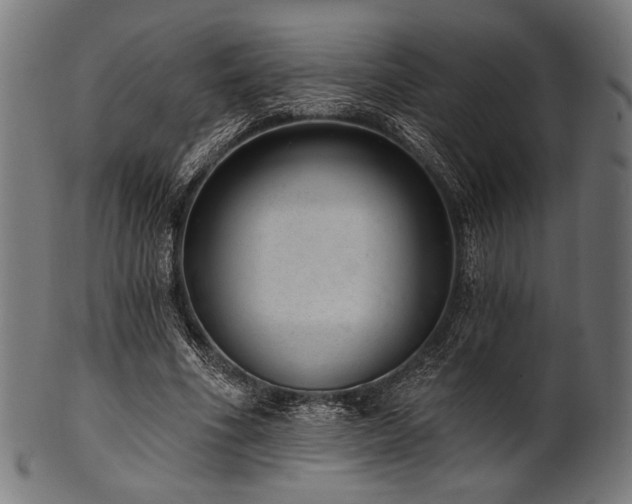 X0000100960586200806241529