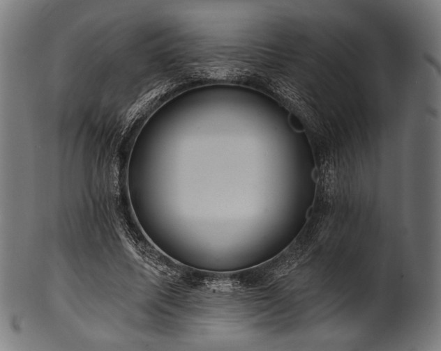 X0000100960587200806241529