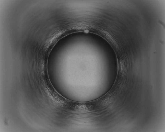 X0000100960588200806241529