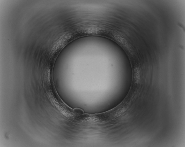 X0000100960589200806241529