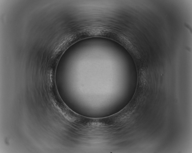 X0000100960590200806241529