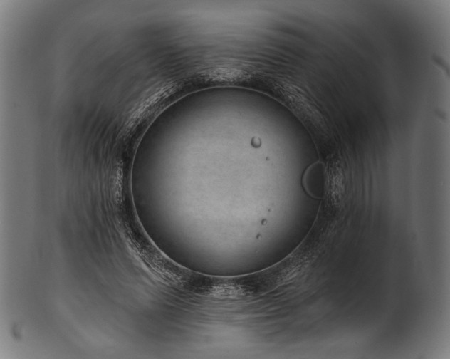 X0000100960591200806241529