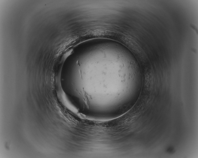 X0000100960592200806241529