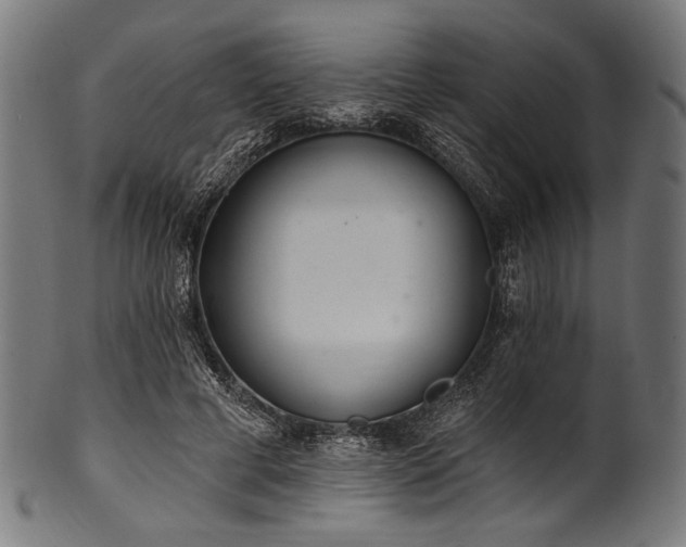 X0000100960593200806241529