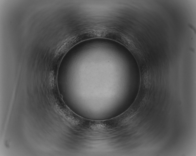 X0000100960594200806241529