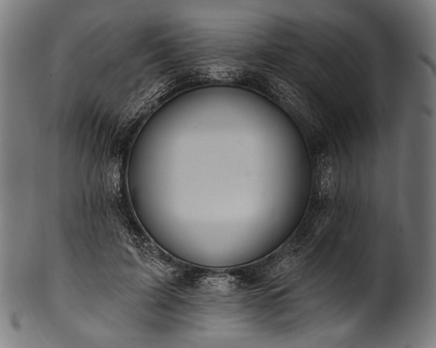 X0000100960595200806241529