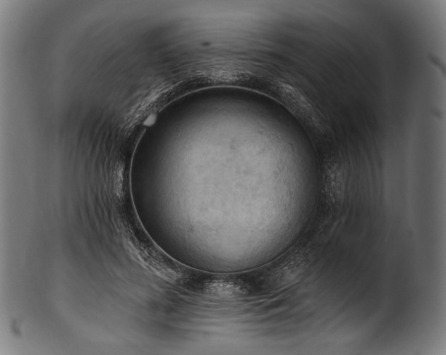 X0000100960596200806241529