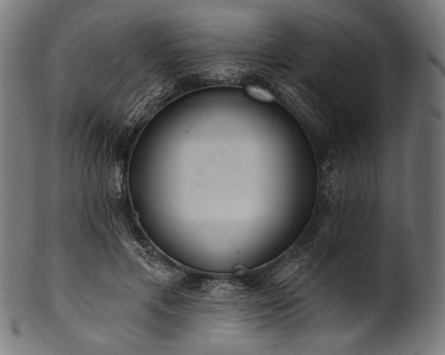 X0000100960597200806241529