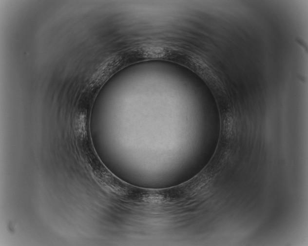X0000100960598200806241529