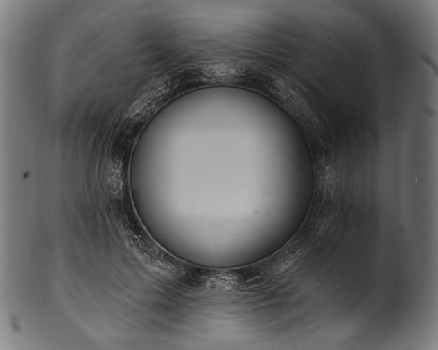X0000100960599200806241529