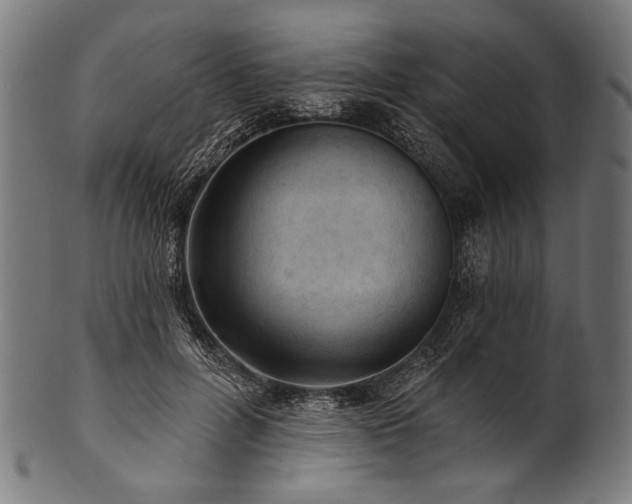 X0000100960600200806241529