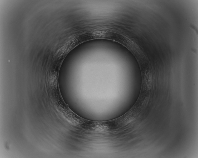 X0000100960601200806241529