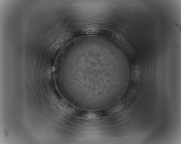 X0000100960604200806241529
