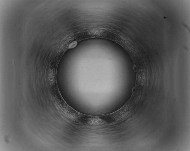 X0000100960605200806241529