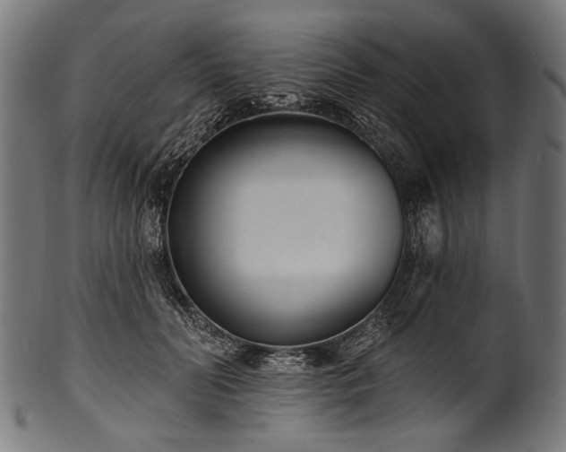X0000100960606200806241529