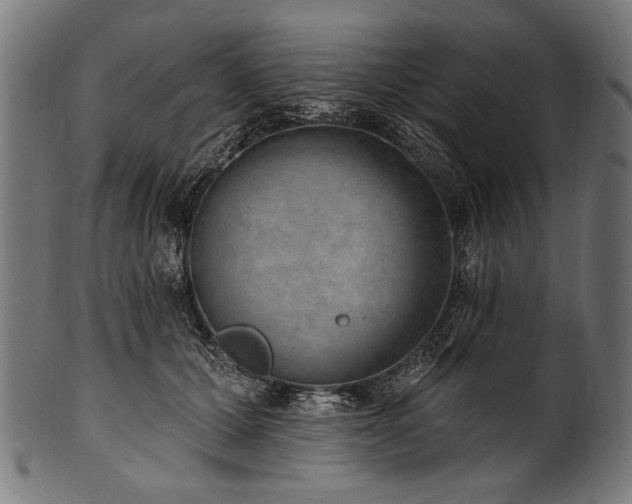 X0000100960607200806241529