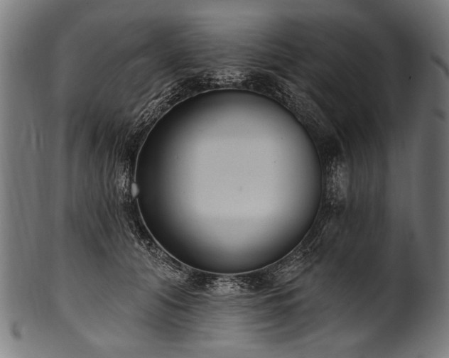 X0000100960608200806241529