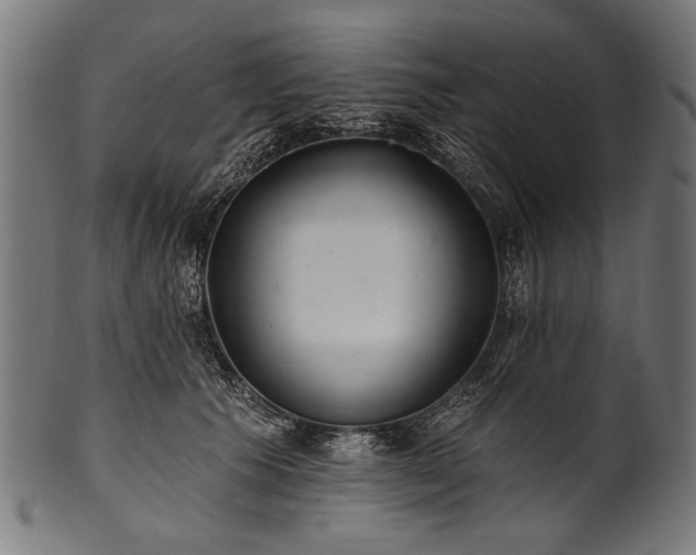 X0000100960609200806241529