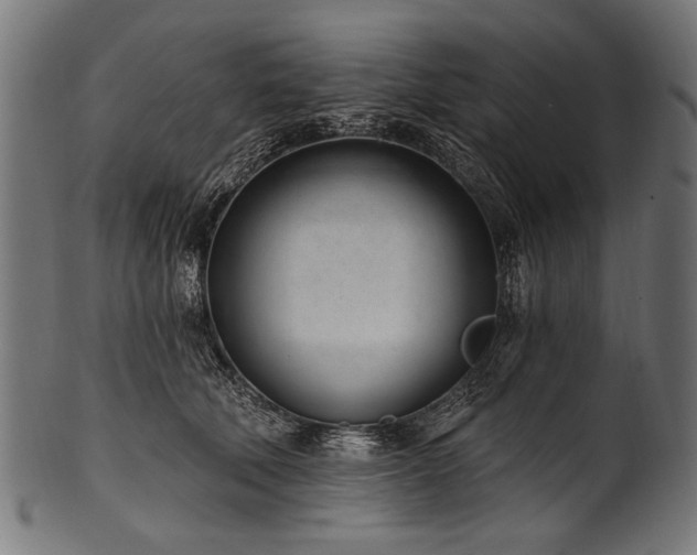 X0000100960610200806241529