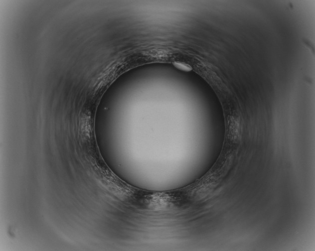 X0000100960612200806241529