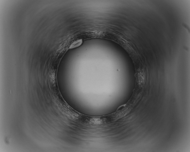 X0000100960613200806241529