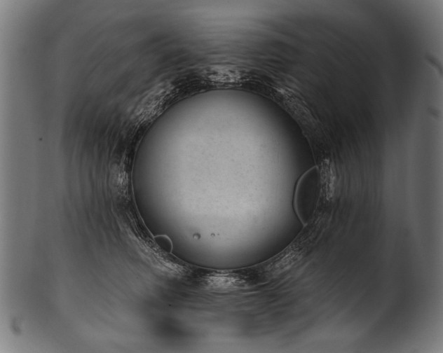 X0000100960614200806241529