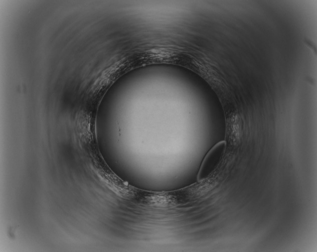X0000100960615200806241529