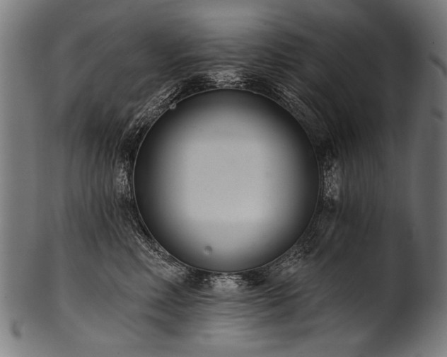 X0000100960618200806241529