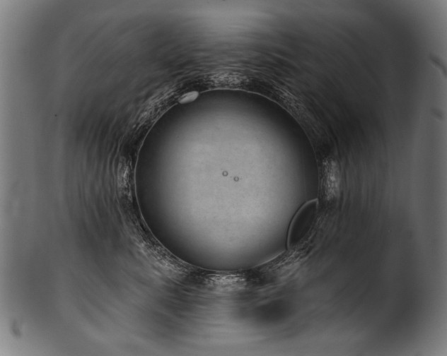 X0000100960619200806241528