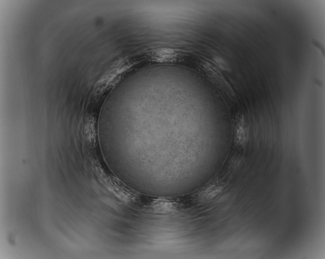 X0000100960620200806241528