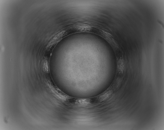 X0000100960622200806241528