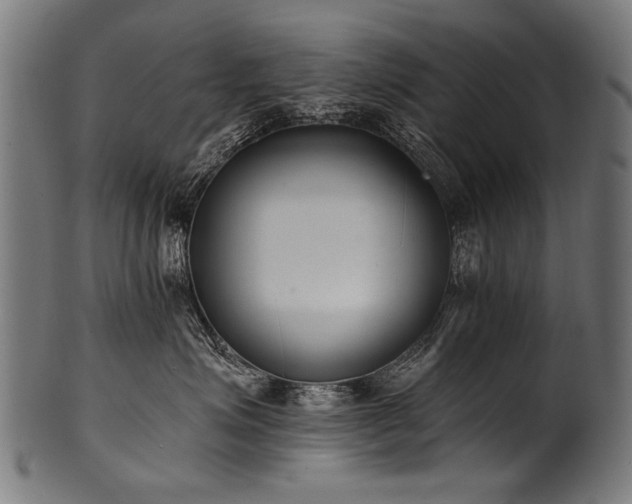 X0000100960623200806241528