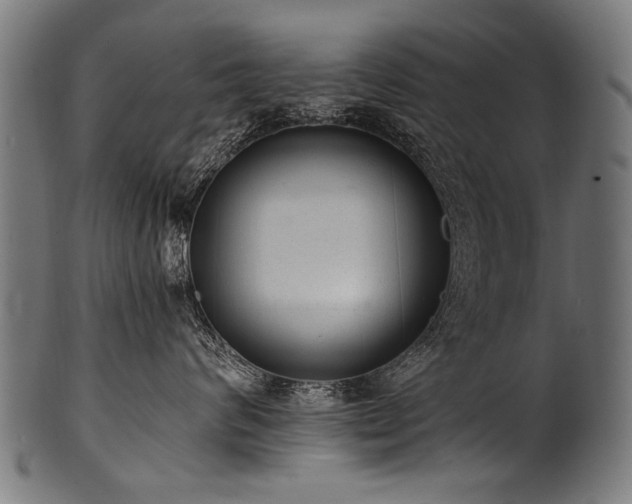 X0000100960624200806241528