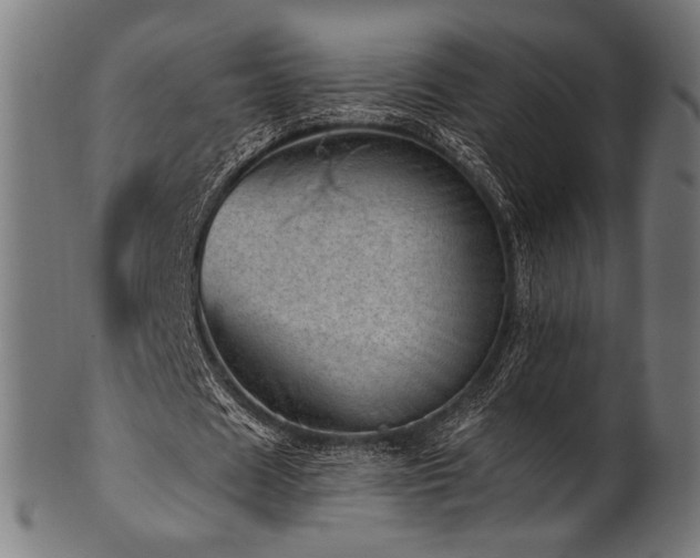 X0000100960625200806241528