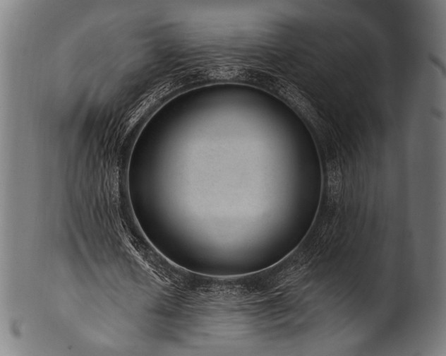 X0000100960626200806241528
