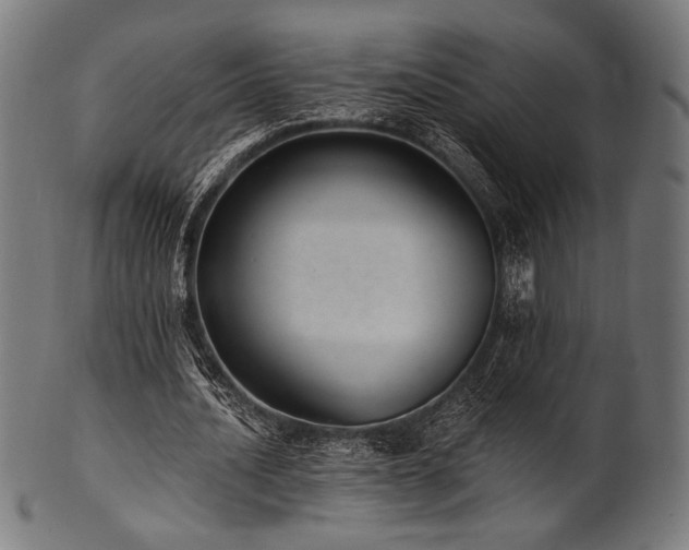 X0000100960628200806241528