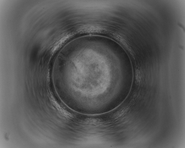 X0000100960629200806241528