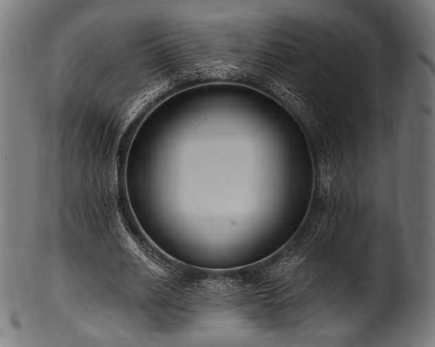 X0000100960630200806241528