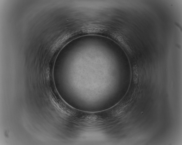 X0000100960631200806241528