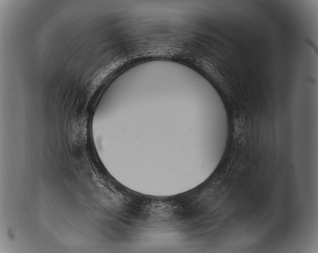 X0000100960632200806241528