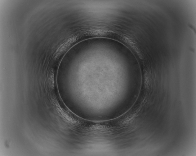 X0000100960633200806241528