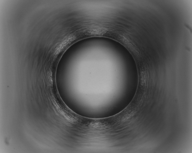X0000100960634200806241528