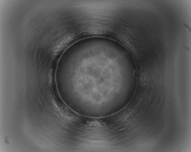 X0000100960635200806241528