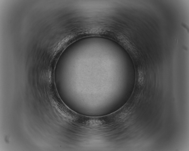 X0000100960636200806241528